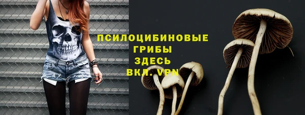 крисы Алексин
