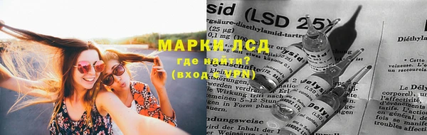 крисы Алексин
