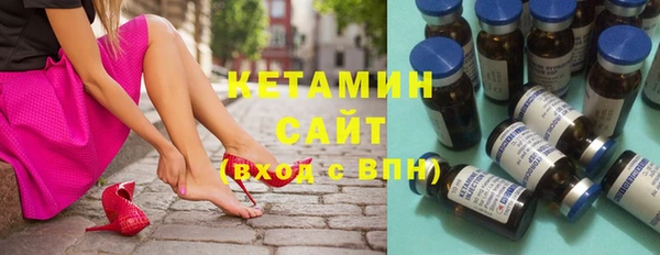крисы Алексин