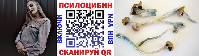 kraken как войти  купить наркотик  Суровикино  Галлюциногенные грибы MAGIC MUSHROOMS 